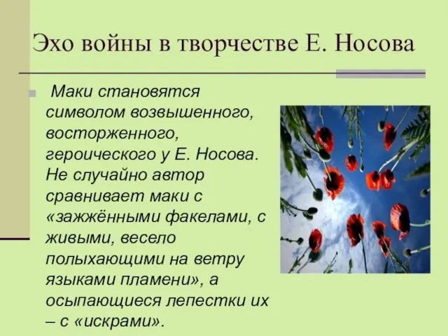 Эхо войны в творчестве Е. Носова Маки становятся символом возвышенного,