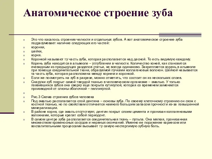 Анатомическое строение зуба Это что касалось строения челюсти и отдельных зубов. А вот