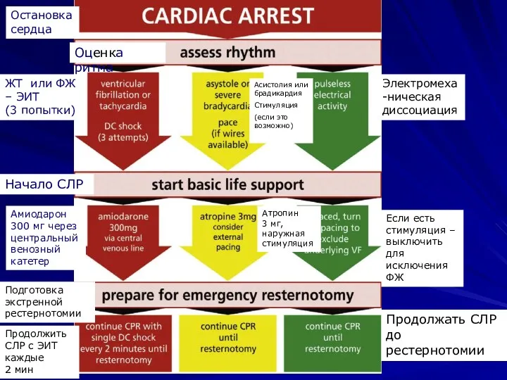 Остановка сердца Оценка ритма ЖТ или ФЖ – ЭИТ (3
