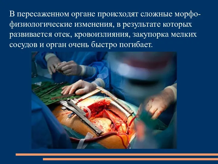В пересаженном органе происходят сложные морфо-физиологические изменения, в результате которых развивается отек, кровоизлияния,