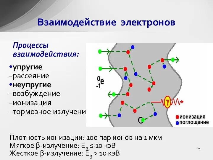 Процессы взаимодействия: упругие рассеяние неупругие возбуждение ионизация тормозное излучение Взаимодействие