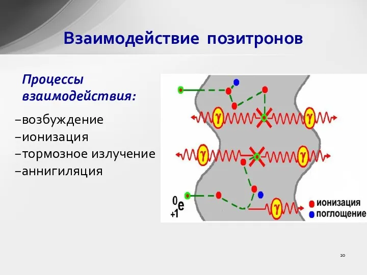 Процессы взаимодействия: возбуждение ионизация тормозное излучение аннигиляция Взаимодействие позитронов