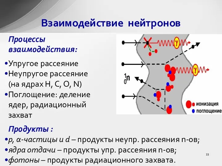 Процессы взаимодействия: Упругое рассеяние Неупругое рассеяние (на ядрах H, C,