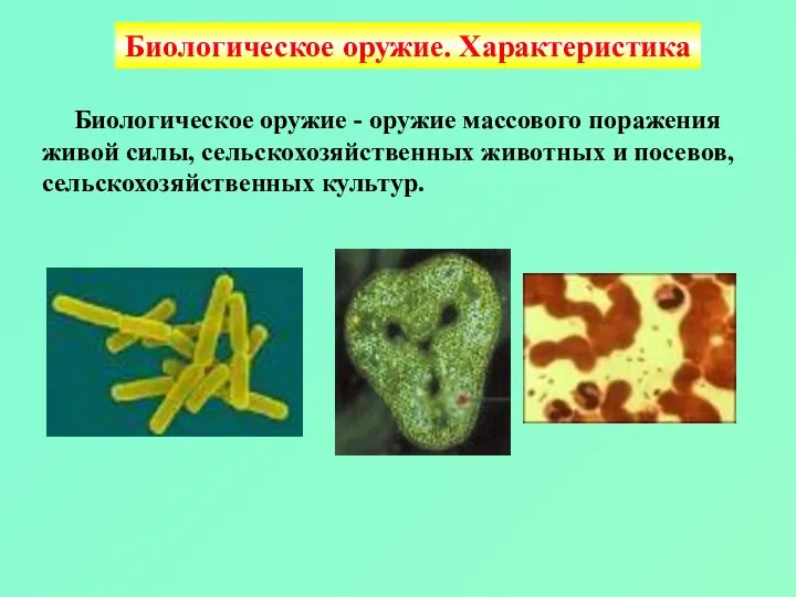 Биологическое оружие. Характеристика Биологическое оружие - оружие массового поражения живой