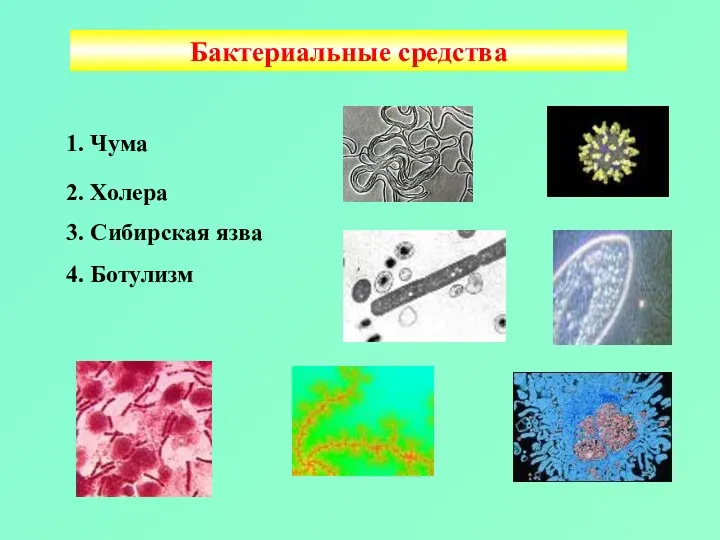 Бактериальные средства 1. Чума 2. Холера 3. Сибирская язва 4. Ботулизм