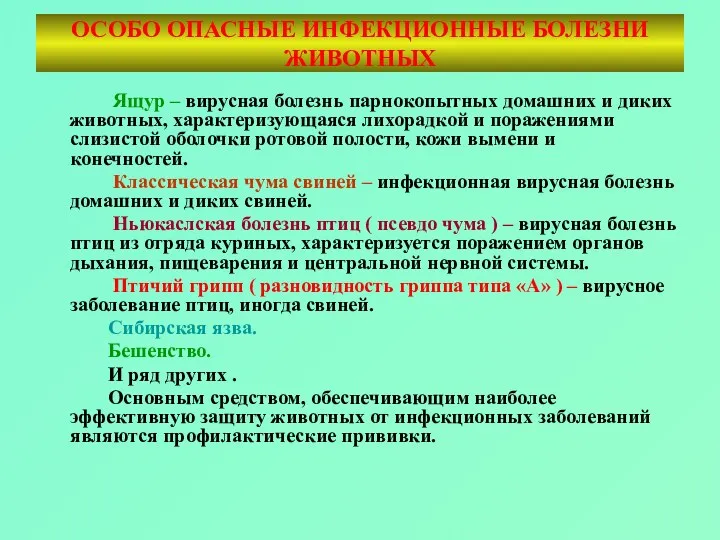 ОСОБО ОПАСНЫЕ ИНФЕКЦИОННЫЕ БОЛЕЗНИ ЖИВОТНЫХ Ящур – вирусная болезнь парнокопытных