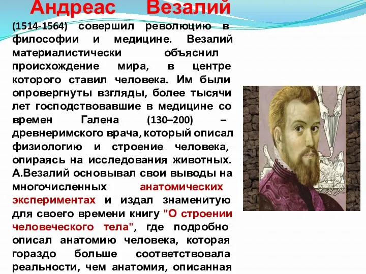 Андреас Везалий (1514-1564) совершил революцию в философии и медицине. Везалий