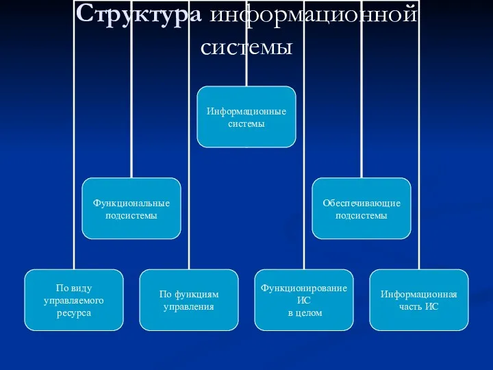 Структура информационной системы
