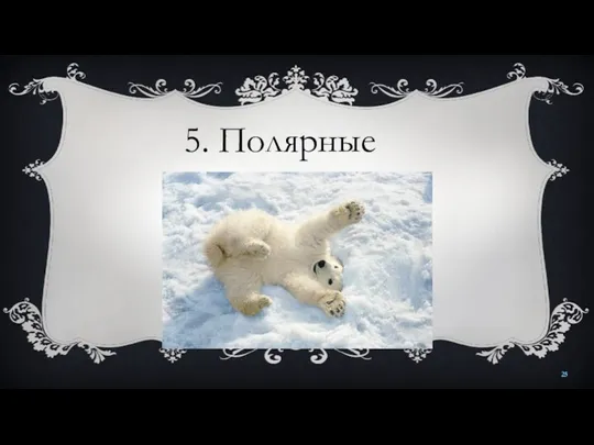 5. Полярные