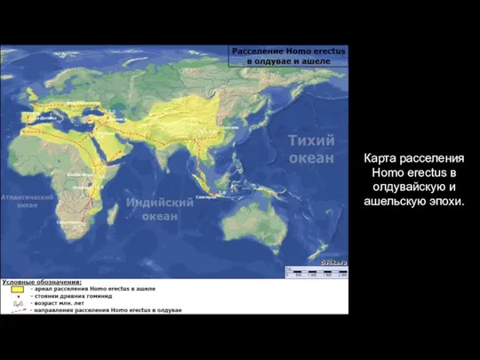 Карта расселения Homo erectus в олдувайскую и ашельскую эпохи.