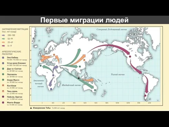 Первые миграции людей