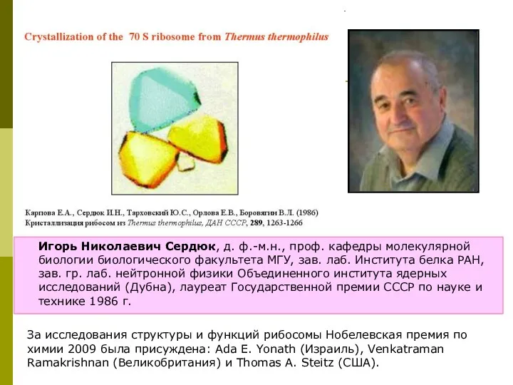 Игорь Николаевич Сердюк, д. ф.-м.н., проф. кафедры молекулярной биологии биологического