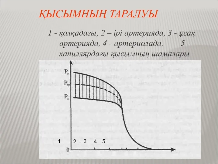 ҚЫСЫМНЫҢ ТАРАЛУЫ 1 - қолқадағы, 2 – ірі артерияда, 3