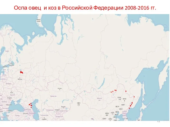 Оспа овец и коз в Российской Федерации 2008-2016 гг.