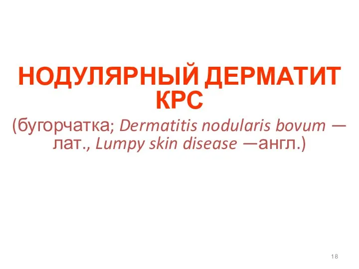 НОДУЛЯРНЫЙ ДЕРМАТИТ КРС (бугорчатка; Dermatitis nodularis bovum — лат., Lumpy skin disease —англ.)