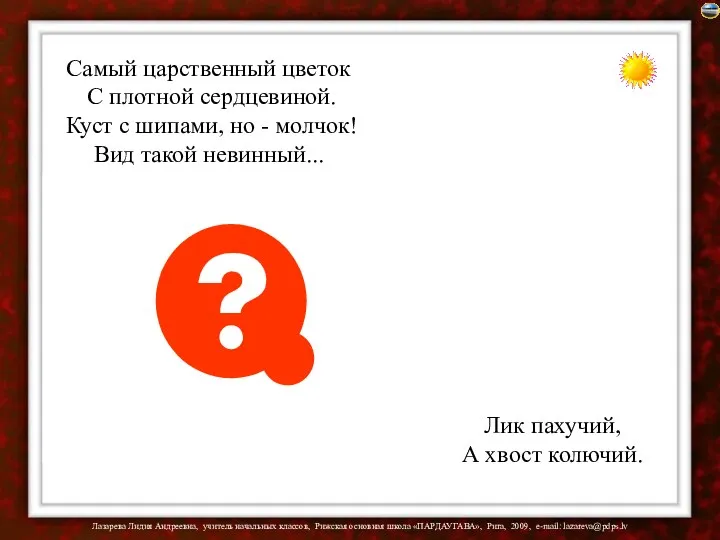 Самый царственный цветок С плотной сердцевиной. Куст с шипами, но