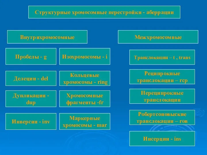 Межхромосомные Внутрихромосомные Пробелы - g Делеции - del Дупликации - dup Изохромосомы -