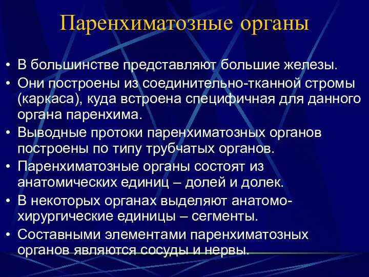 Паренхиматозные органы В большинстве представляют большие железы. Они построены из