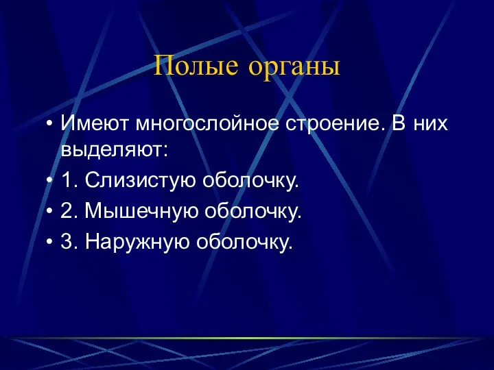 Полые органы Имеют многослойное строение. В них выделяют: 1. Слизистую