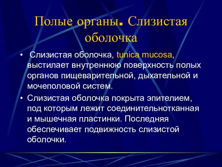 Полые органы. Слизистая оболочка Слизистая оболочка, tunica mucosa, выстилает внутреннюю