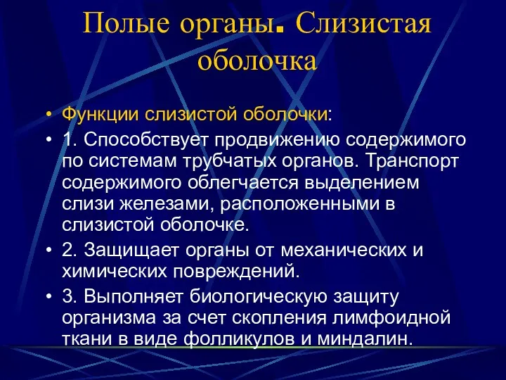 Полые органы. Слизистая оболочка Функции слизистой оболочки: 1. Способствует продвижению