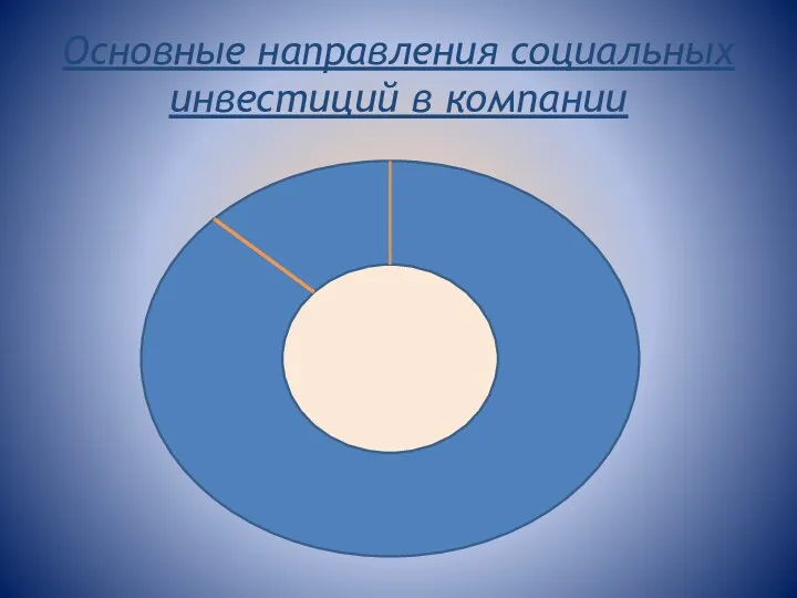 Основные направления социальных инвестиций в компании