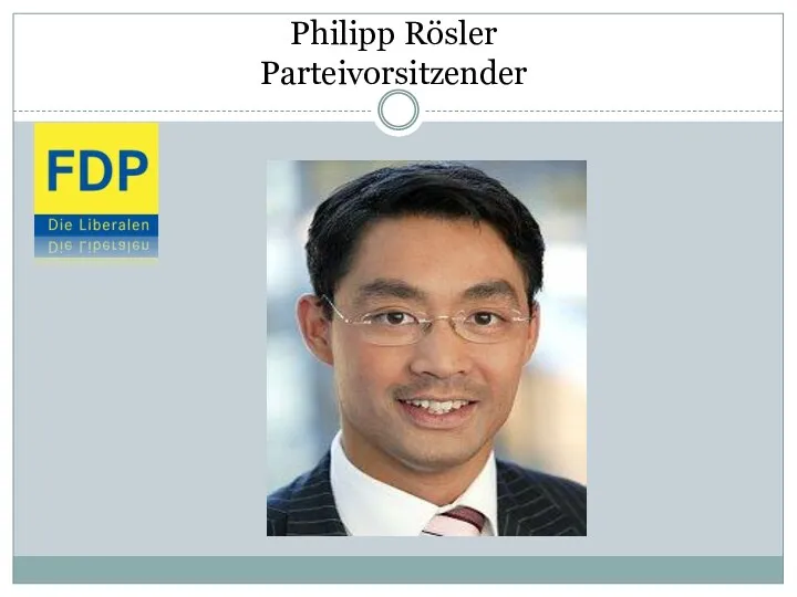 Philipp Rösler Parteivorsitzender