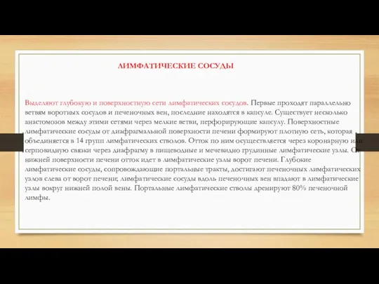 Выделяют глубокую и поверхностную сети лимфатических сосудов. Первые проходят параллельно