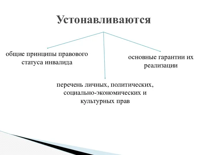 Устонавливаются общие принципы правового статуса инвалида перечень личных, политических, социально-экономических