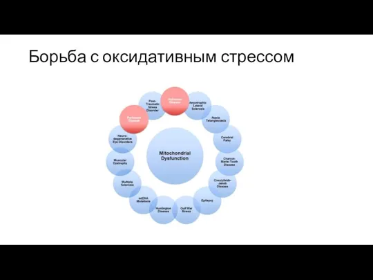 Борьба с оксидативным стрессом