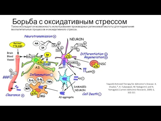 Борьба с оксидативным стрессом Также исследуется возможность использования производных ретиноевой