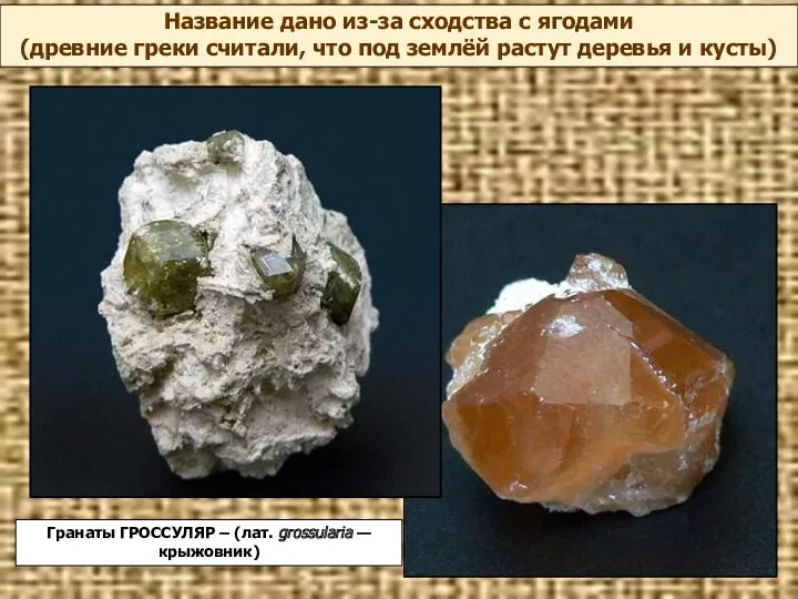 Гранаты ГРОССУЛЯР – (лат. grossularia — крыжовник) Название дано из-за