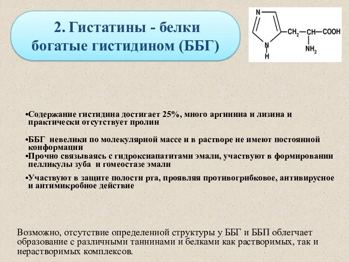 2. Гистатины - белки богатые гистидином (ББГ) Возможно, отсутствие определенной