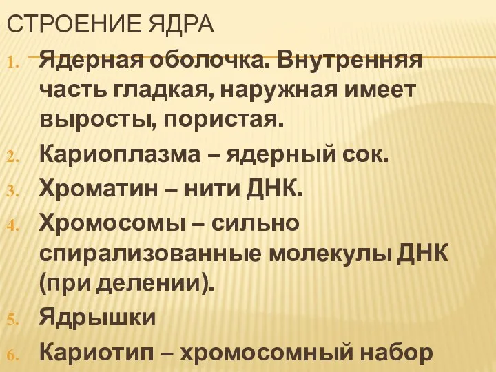 СТРОЕНИЕ ЯДРА Ядерная оболочка. Внутренняя часть гладкая, наружная имеет выросты, пористая. Кариоплазма –