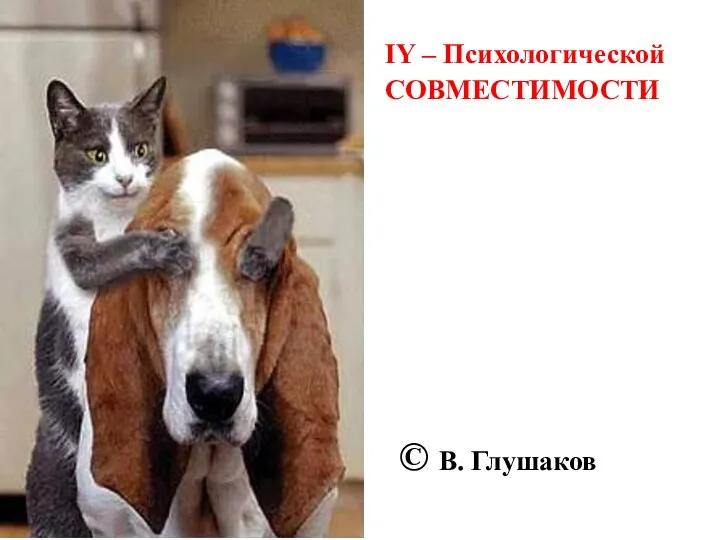 IY – Психологической СОВМЕСТИМОСТИ © В. Глушаков