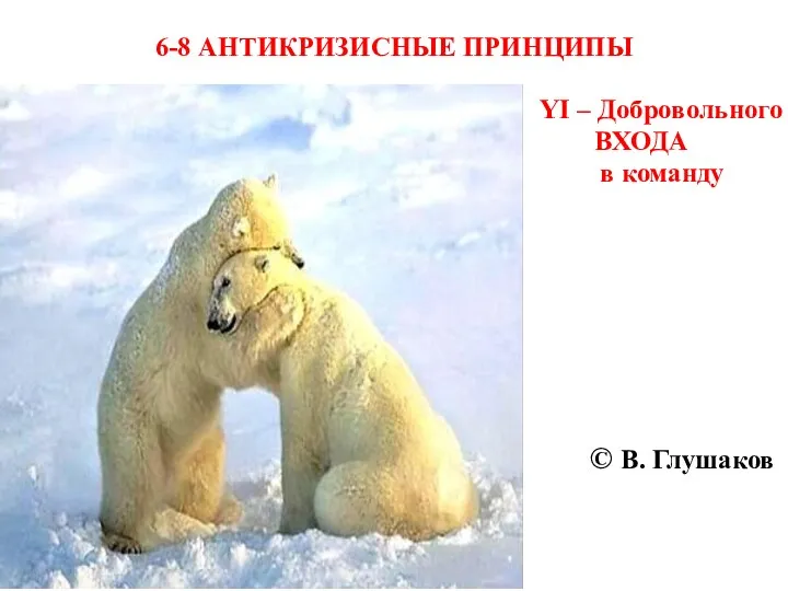 6-8 АНТИКРИЗИСНЫЕ ПРИНЦИПЫ YI – Добровольного ВХОДА в команду © В. Глушаков