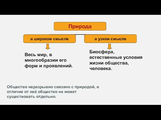 Весь мир, в многообразии его форм и проявлений. Биосфера, естественные