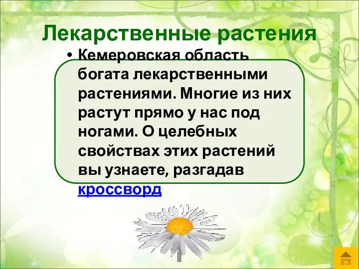 Лекарственные растения Кемеровская область богата лекарственными растениями. Многие из них