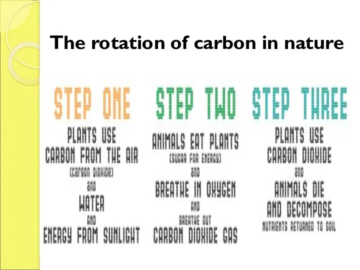 The rotation of carbon in nature