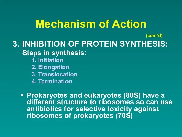 Mechanism of Action INHIBITION OF PROTEIN SYNTHESIS: Steps in synthesis: