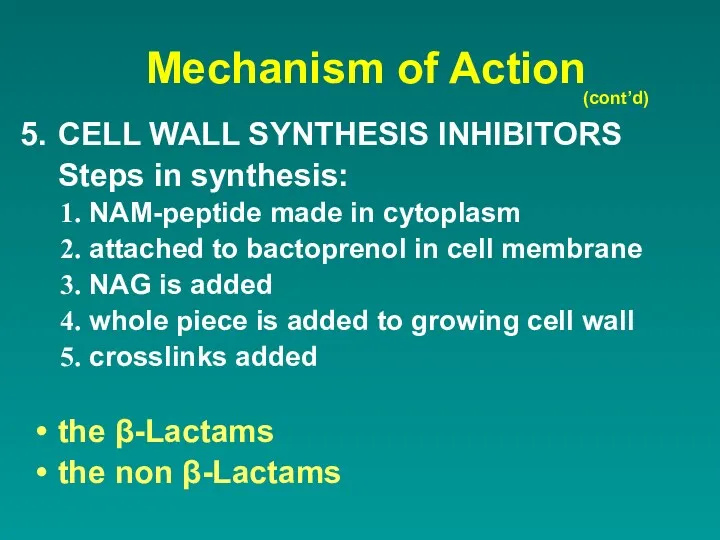 Mechanism of Action CELL WALL SYNTHESIS INHIBITORS Steps in synthesis:
