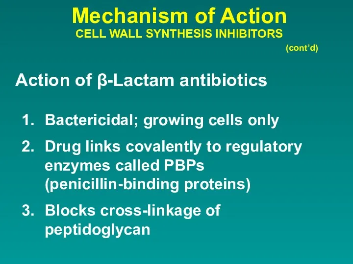Mechanism of Action CELL WALL SYNTHESIS INHIBITORS Action of β-Lactam
