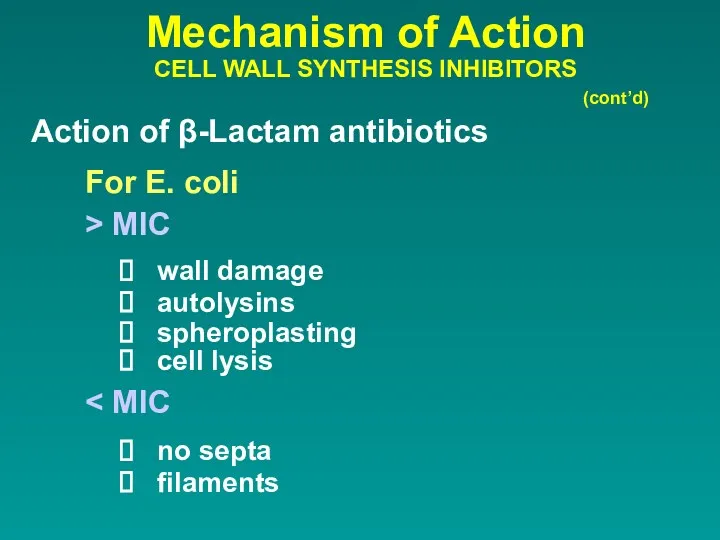 Mechanism of Action CELL WALL SYNTHESIS INHIBITORS Action of β-Lactam