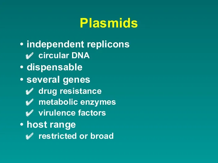 Plasmids independent replicons circular DNA dispensable several genes drug resistance