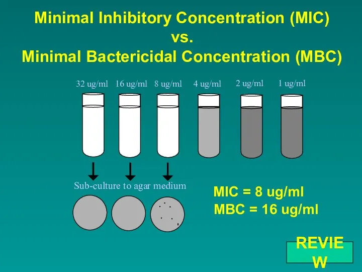 Minimal Inhibitory Concentration (MIC) vs. Minimal Bactericidal Concentration (MBC) REVIEW