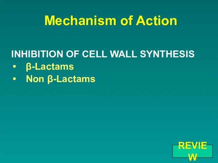 Mechanism of Action INHIBITION OF CELL WALL SYNTHESIS β-Lactams Non β-Lactams REVIEW