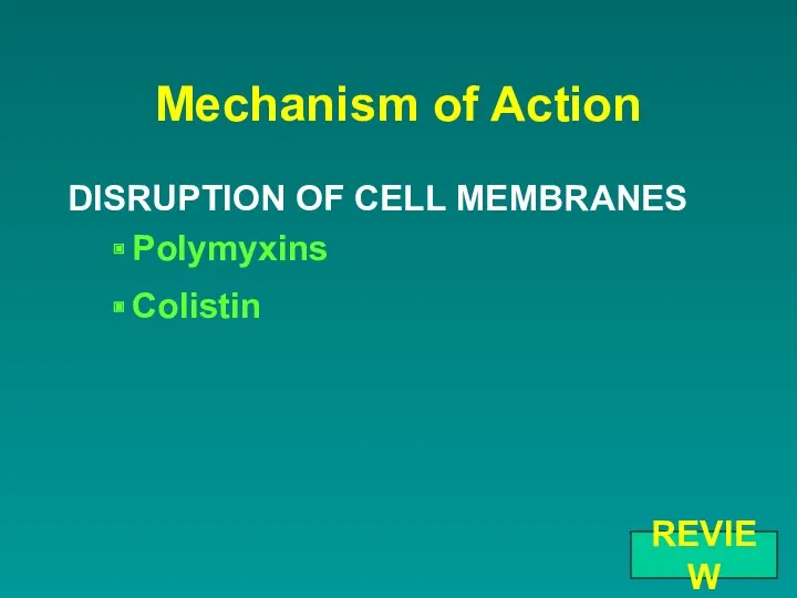 Mechanism of Action DISRUPTION OF CELL MEMBRANES Polymyxins Colistin REVIEW