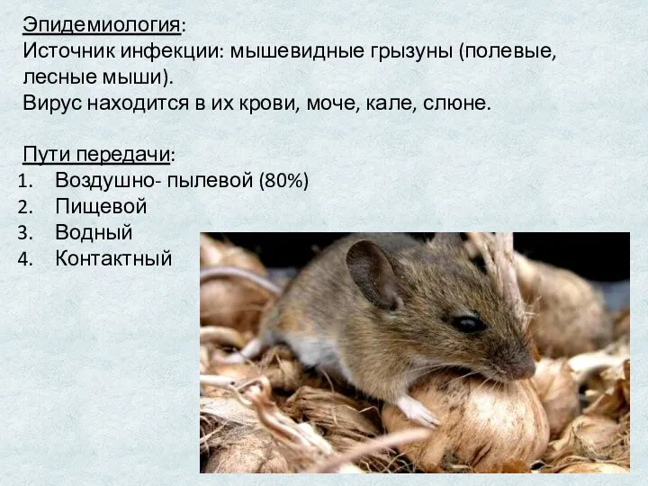 Эпидемиология: Источник инфекции: мышевидные грызуны (полевые, лесные мыши). Вирус находится
