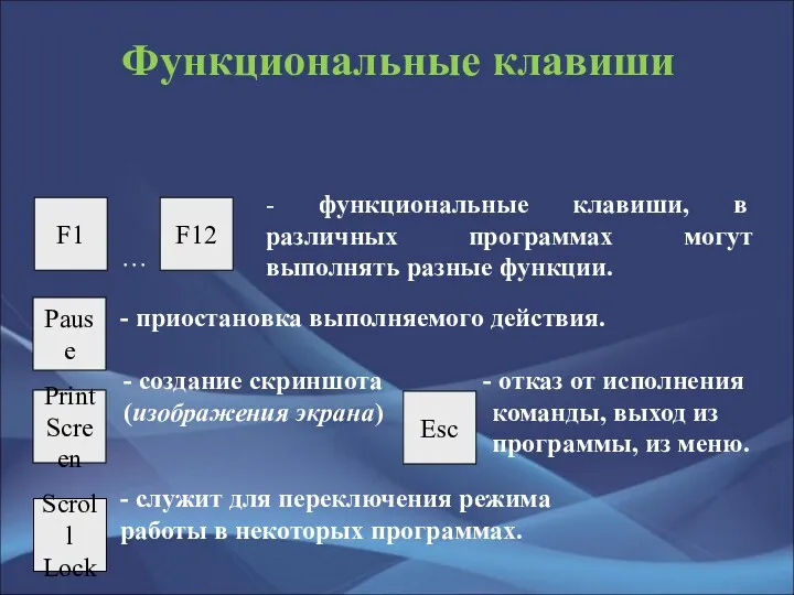 Функциональные клавиши - функциональные клавиши, в различных программах могут выполнять