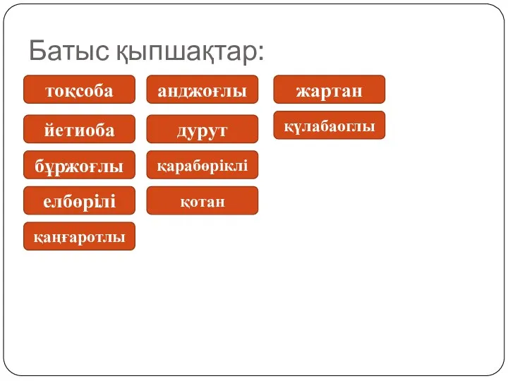 Батыс қыпшақтар: тоқсоба йетиоба бұржоғлы елбөрілі қаңғаротлы анджоғлы дурут қүлабаоглы жартан қарабөріклі қотан